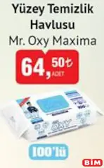 MR. OXY MAXİMA YÜZEY TEMİZLİK HAVLUSU 100'LÜ